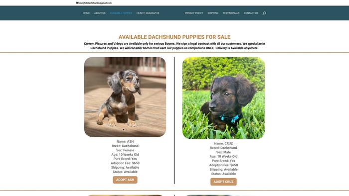 Daisyhilldachshund.org - Dachshund Puppy Scam Review