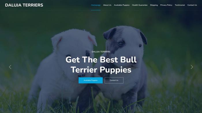 Dalubullterriers.com - Terrier Puppy Scam Review