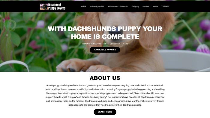 Daschundpuppylovers.com - Dachshund Puppy Scam Review