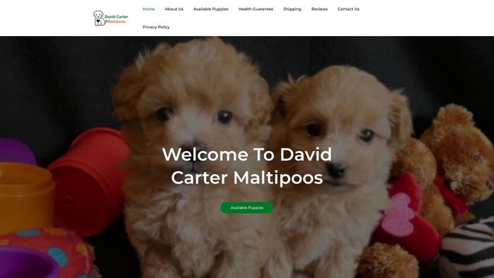 Davidcartermaltipoos.com - Maltipoo Puppy Scam Review