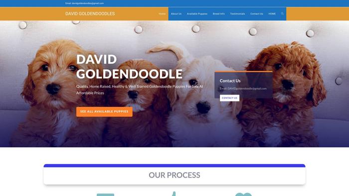 Davidgoldendoodles.com - Golden Doodle Puppy Scam Review