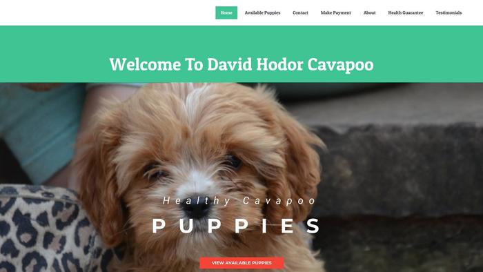 Davidhodorcavapoo.com - Cavapoo Puppy Scam Review