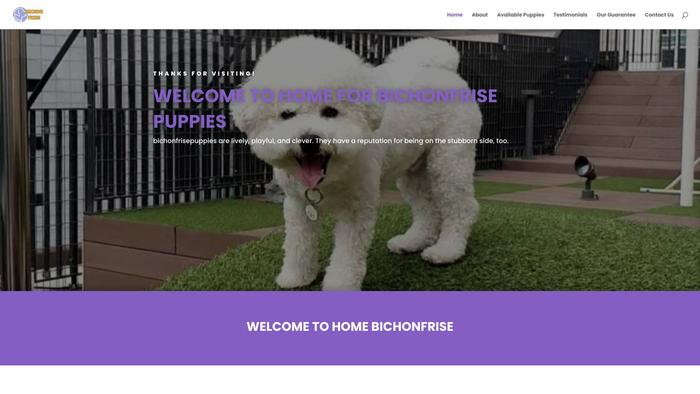 Dcbichonfrisepuppies.com - Bichon Frise Puppy Scam Review