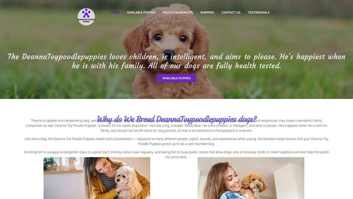 Deannatoypoodlepuppies.com - Poodle Puppy Scam Review