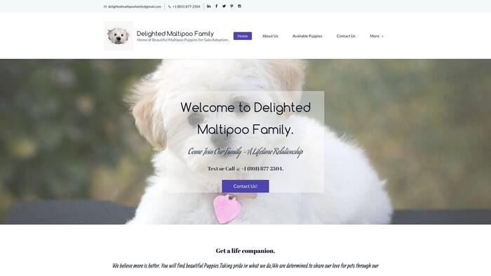 Delightedmaltipoofam.com - Maltipoo Puppy Scam Review