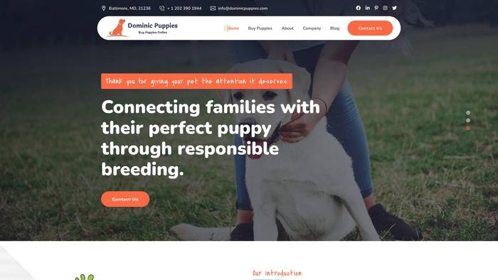 Dominicpuppies.com - Labrador Puppy Scam Review