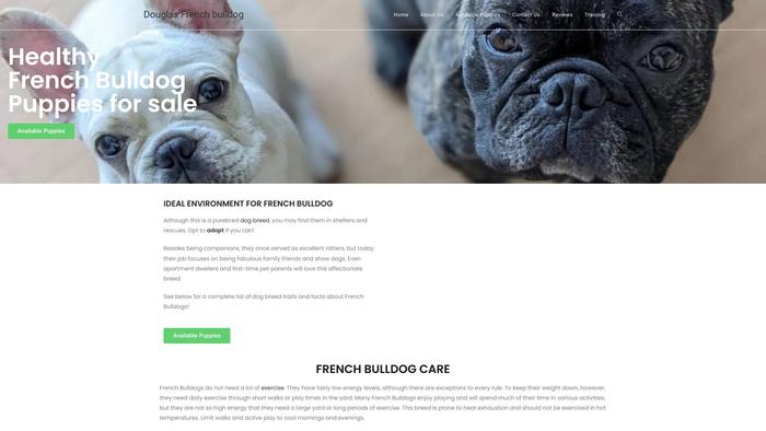 Douglasfrenchbulldogpuppies.com - French Bulldog Puppy Scam Review