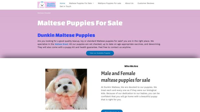 Dunkinmaltesepuppies.com - Maltese Puppy Scam Review