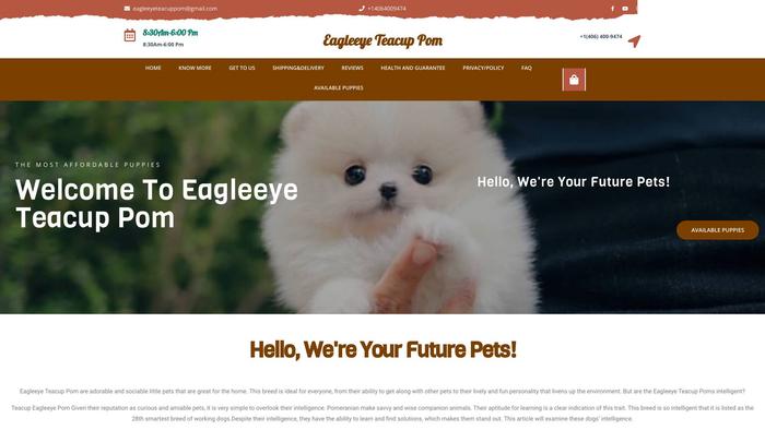 Eagleeyeteacuppom.us - Yorkshire Terrier Puppy Scam Review