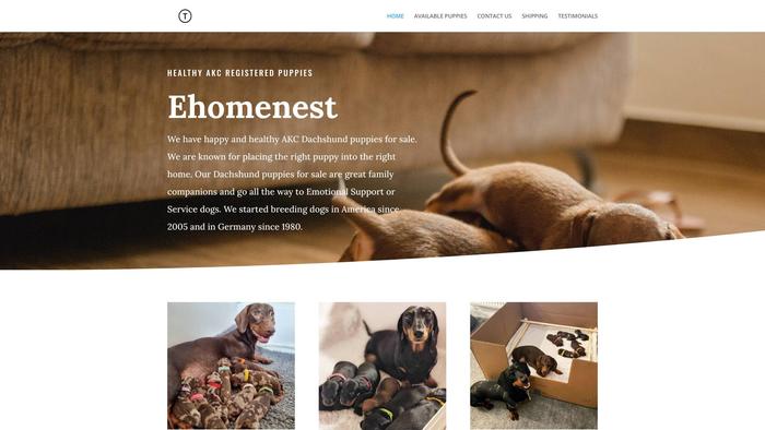 Ehomenest.com - Dachshund Puppy Scam Review