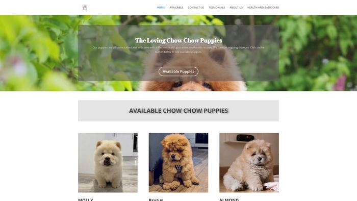 Elationforeverprevails.com - Chowchow Puppy Scam Review