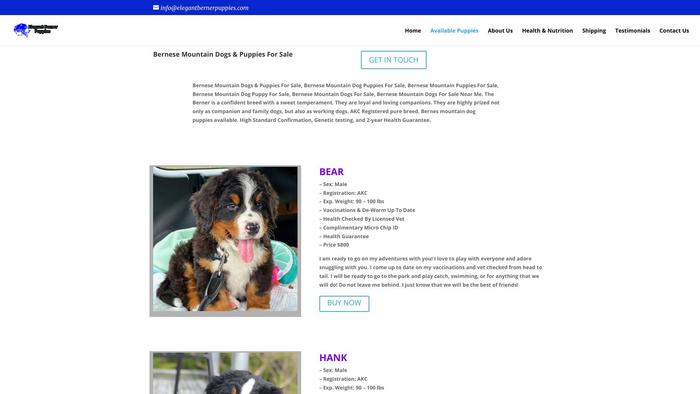 Elegantbernerpuppies.com - Bernese Mountain Dog Puppy Scam Review