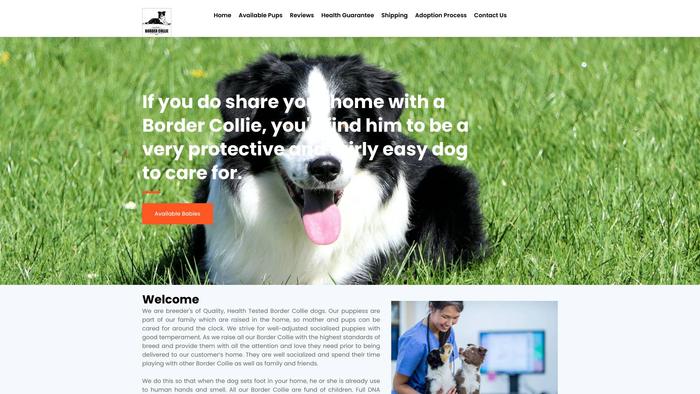 Emmanuelbordercollie.com - Bordercollie Puppy Scam Review