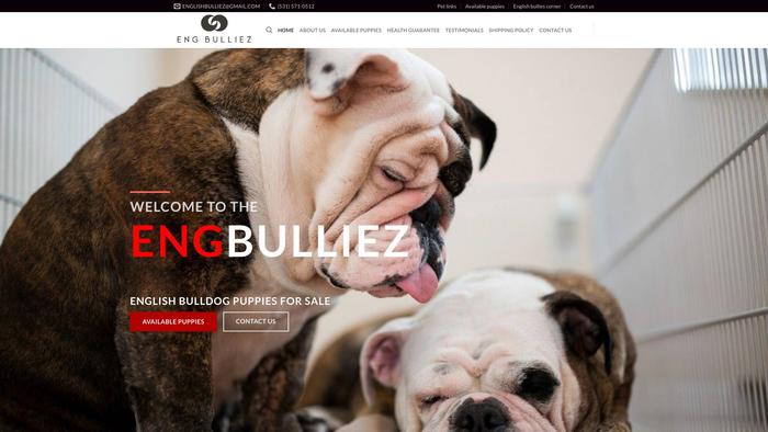 Engbulliez.com - English Bulldog Puppy Scam Review