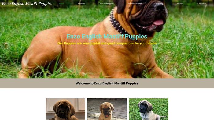 Enzoenglishmastifpuppies.com - Boxer Puppy Scam Review