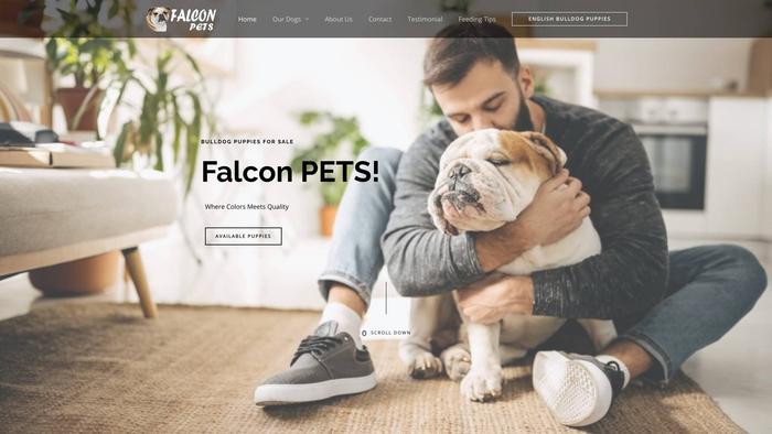 Falconpets.com - French Bulldog Puppy Scam Review