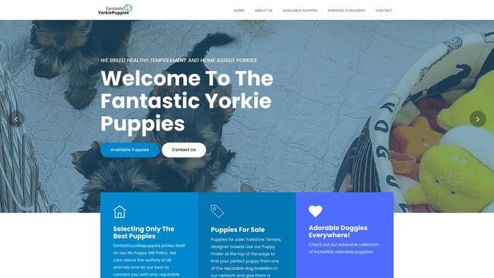 Fantasticyorkiepuppies.com - Yorkshire Terrier Puppy Scam Review