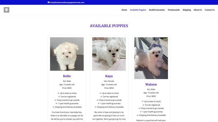 Flawlessmaltesepuppiesforsale.com - Maltese Puppy Scam Review