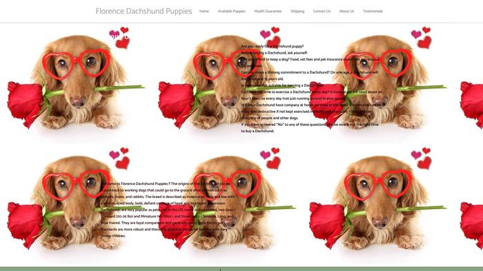 Florencedachshundpuppies.com - Dachshund Puppy Scam Review