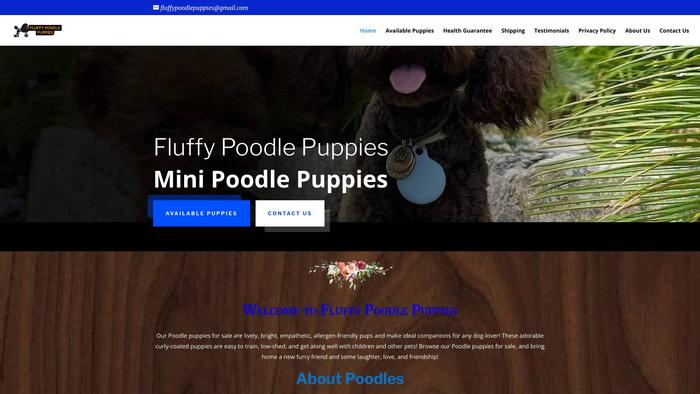 Fluffypoodlepuppies.com - Poodle Puppy Scam Review