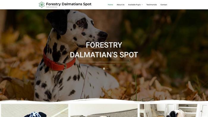 Forestorydalmatianspotted.com - Labrador Puppy Scam Review