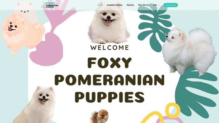 Foxypomeranianpuppies.com - Pomeranian Puppy Scam Review