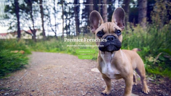 Frenchiespremier.com - French Bulldog Puppy Scam Review