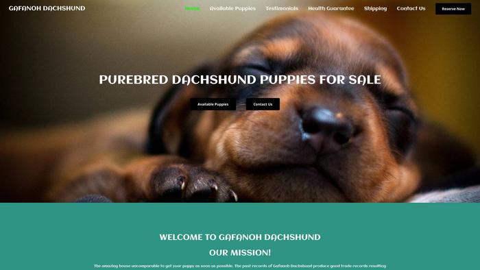 Gafanohdachshund.com - Dachshund Puppy Scam Review