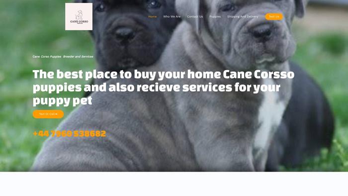 Getcanecorsodogs.com - Cane Corso Puppy Scam Review