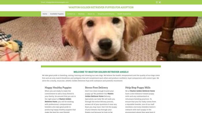 Goldenretrieverangels.com - Golden Retriever Puppy Scam Review