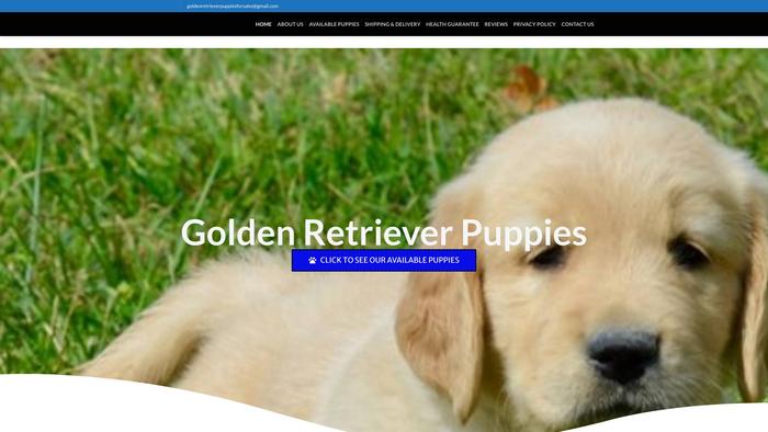 Goldenretrieverpuppiesforsales.com - Golden Retriever Puppy Scam Review