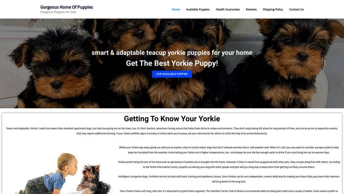 Gorgeoushomeofpuppies.com - Yorkshire Terrier Puppy Scam Review