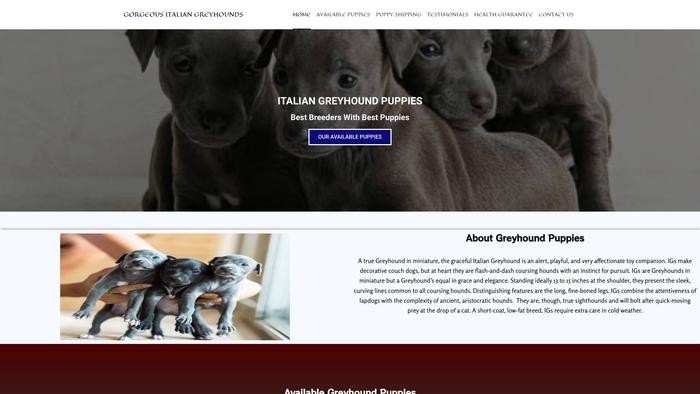 Gorgeousitaliangreyhounds.com - Labrador Puppy Scam Review