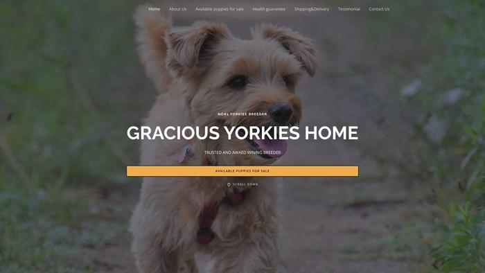 Graciousyorkieshome.com - Yorkshire Terrier Puppy Scam Review