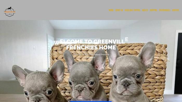 Greenvillefrenchies.com - French Bulldog Puppy Scam Review