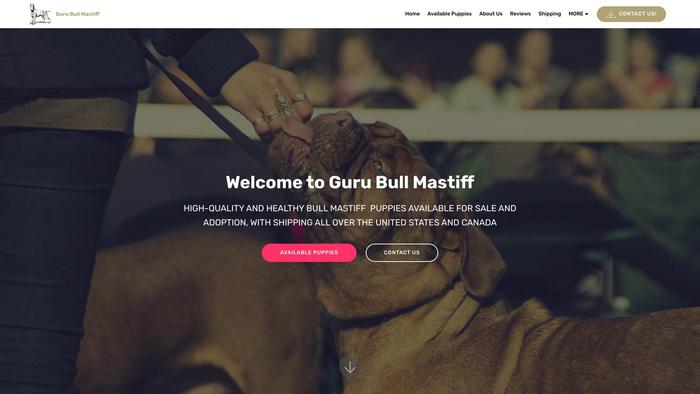 Gurubullmastiff.com - Bull Mastiff Puppy Scam Review