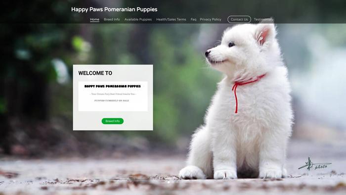 Happypawspomeranianpuppies.com - Pomeranian Puppy Scam Review