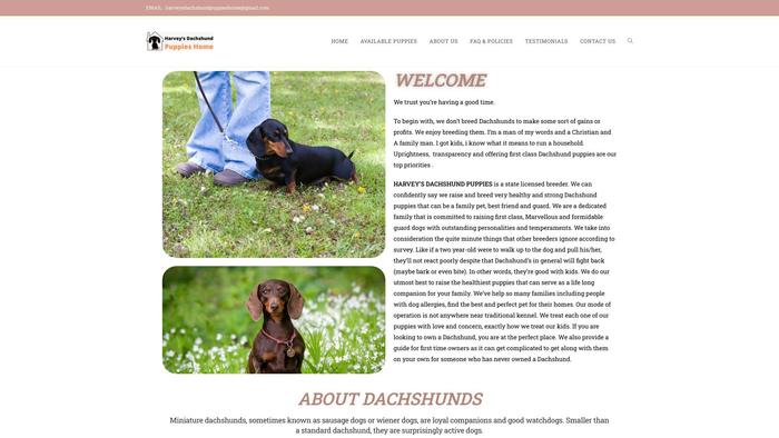 Harveysdachshundpuppieshome.com - Dachshund Puppy Scam Review