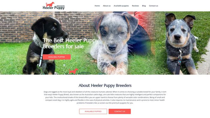 Heelerpuppybreeders.com - French Bulldog Puppy Scam Review