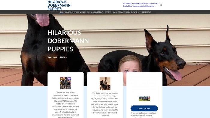 Hilariousdobermanpuppiesforsale.com - Doberman Pinscher Puppy Scam Review