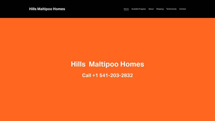 Hillsmaltipoohomes.com - Maltipoo Puppy Scam Review