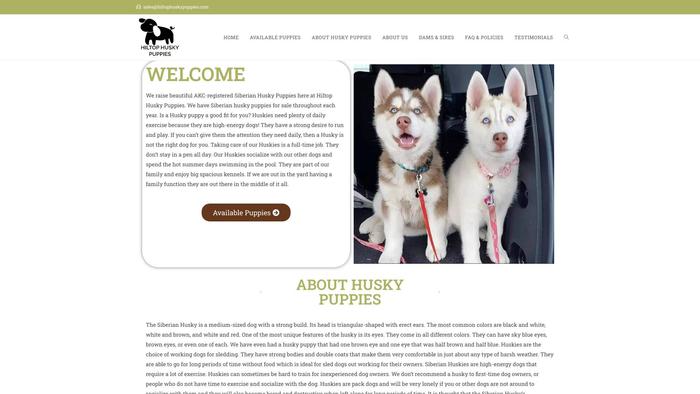 Hiltophuskypuppies.com - Husky Puppy Scam Review