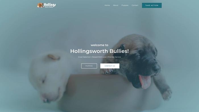 Hollingsworthbullies.com - French Bulldog Puppy Scam Review