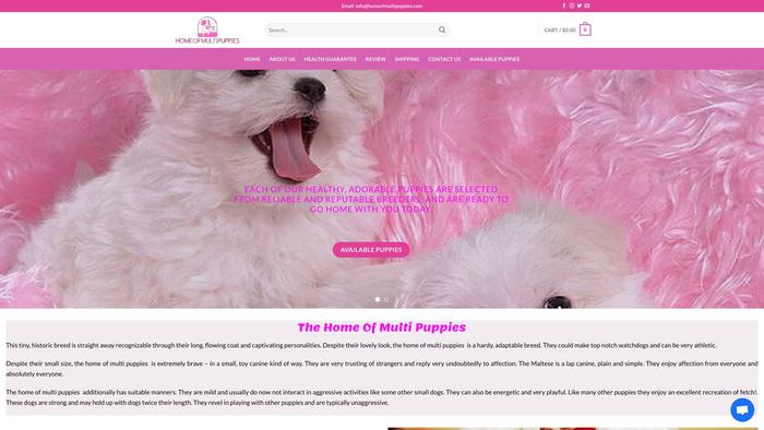 Homeofmultipuppies.com - French Bulldog Puppy Scam Review