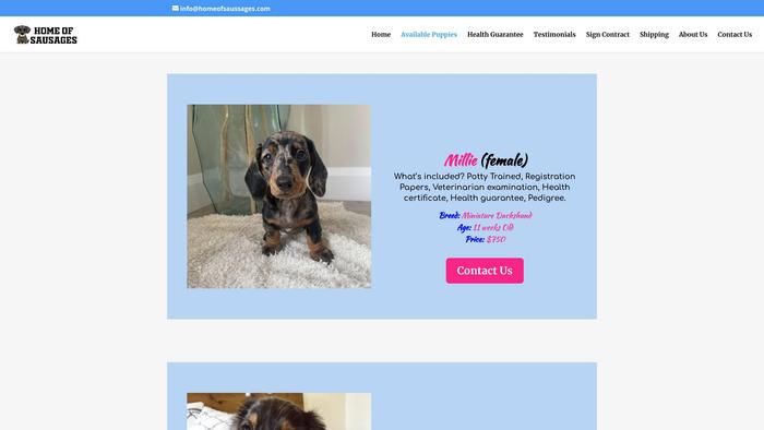 Homeofsaussages.com - Dachshund Puppy Scam Review