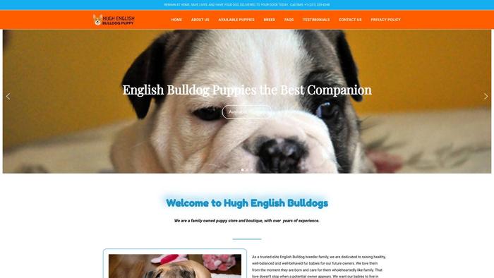 Hughenglishbulldogs.com - English Bulldog Puppy Scam Review