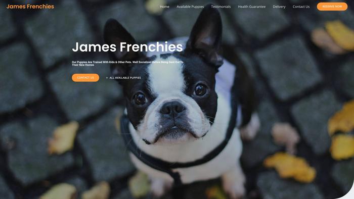 Jamesfrenchies.com - French Bulldog Puppy Scam Review