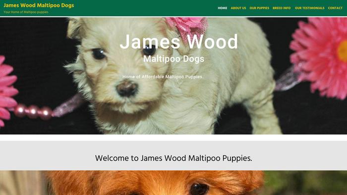 Jameswoodmaltipoos.com - Maltipoo Puppy Scam Review