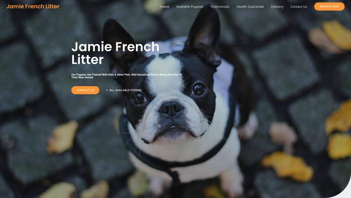 Jamiefrenchlitter.com - French Bulldog Puppy Scam Review