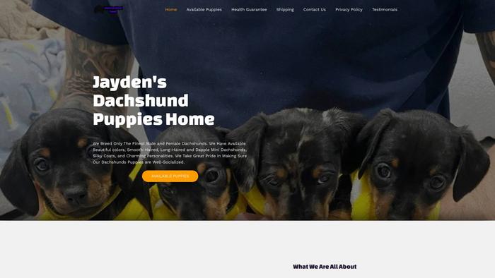 Jaydensdachshundpuppies.com - Dachshund Puppy Scam Review